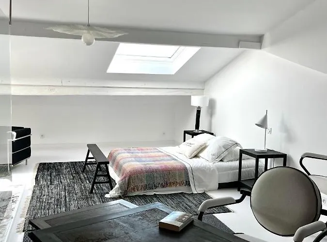 Tres Bel Type Loft Avec Terrasse, Quartier Saint-augustin A Lejlighed Bordeaux
